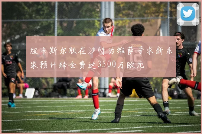 纽卡斯尔联在沙特为维萨寻求新东家预计转会费达3500万欧元